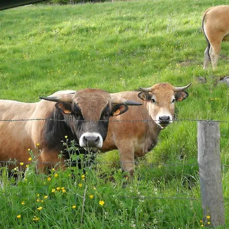 Before Sunrise 2 Et Parking Prive Appartement